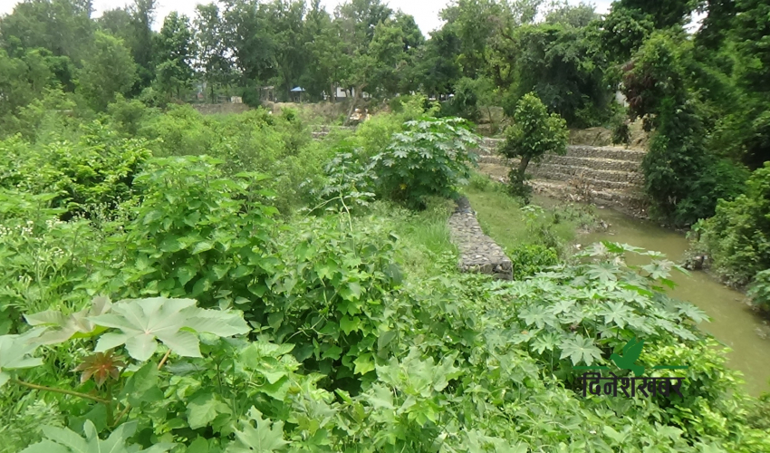 व्यक्तिको नाममा गरिएको धन्गढ़ीको सार्वजनिक जग्गा 